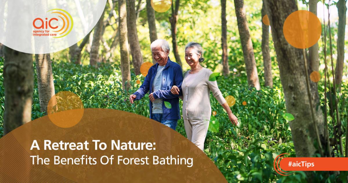 A Retreat To Nature The Benefits Of Forest Bathing AIC Stories