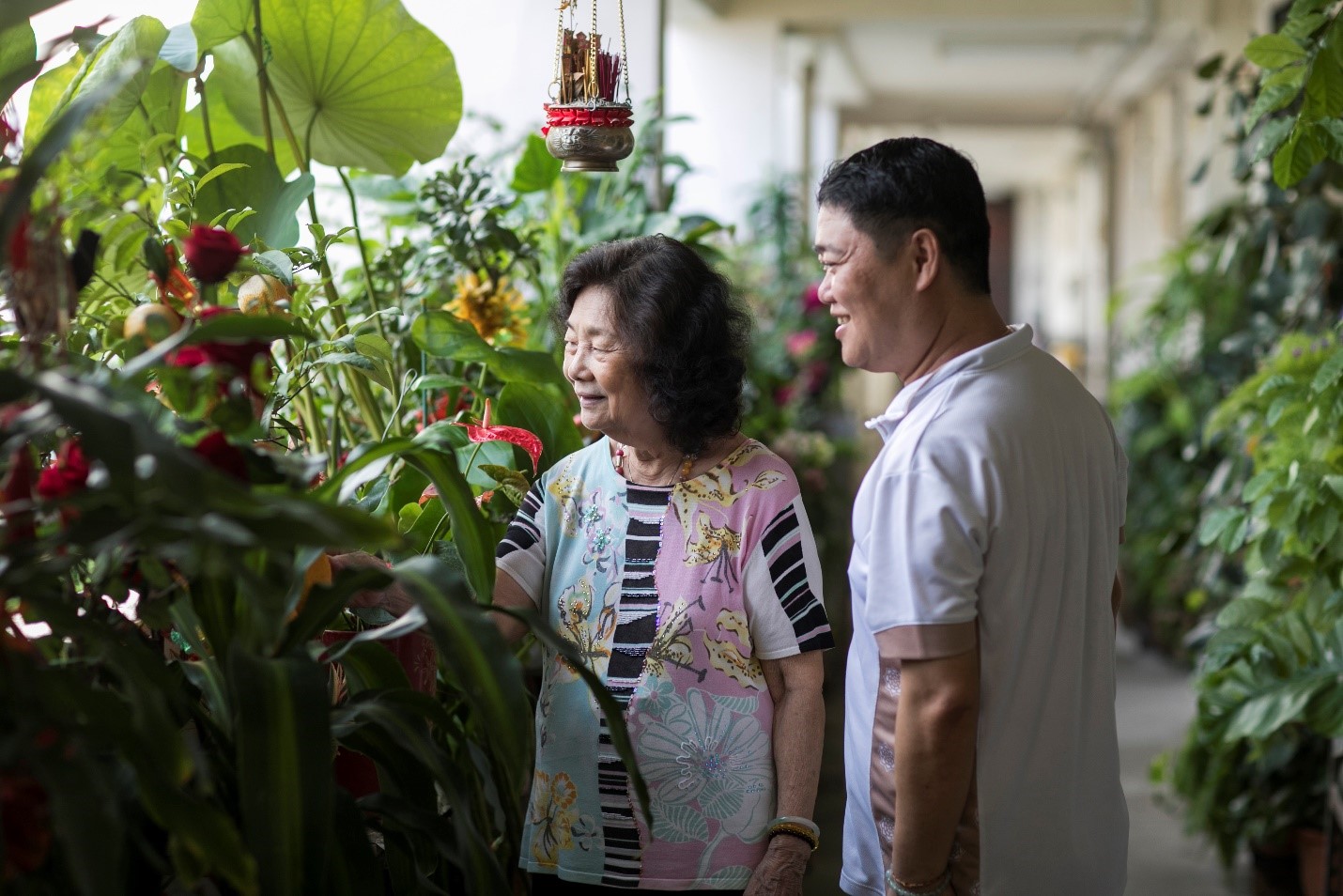 Discovering Dementia