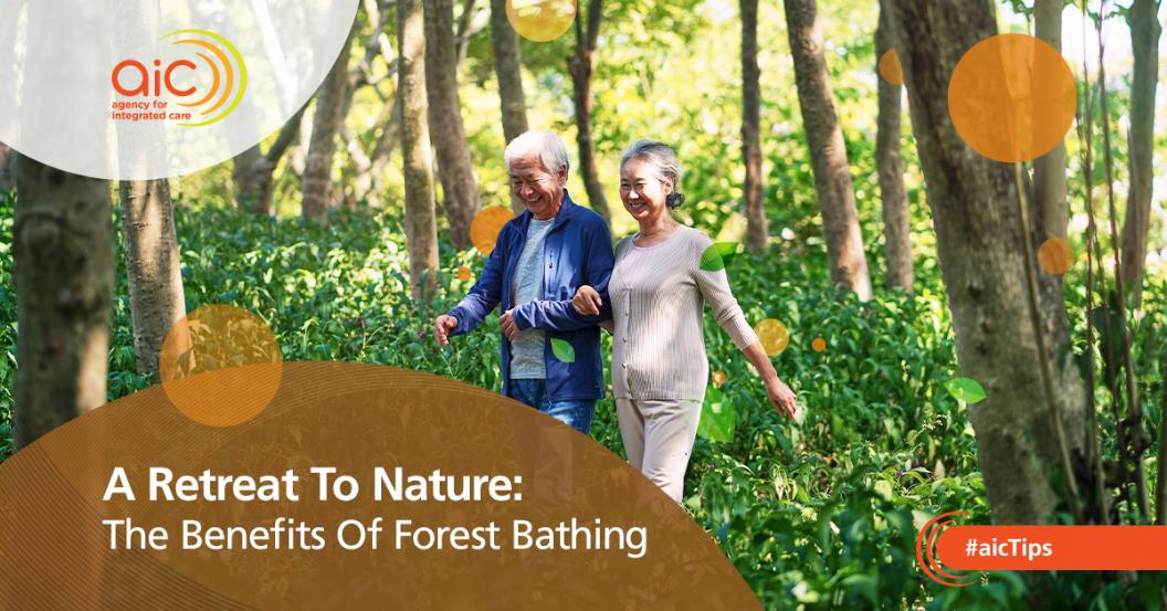 A Retreat To Nature: The Benefits Of Forest Bathing