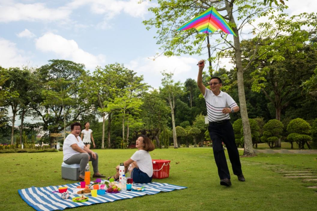 Picnic and kite flying