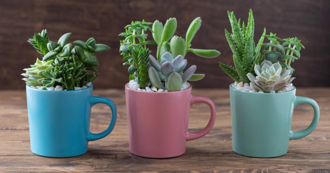 Upcycle Mug Upcycle Mug